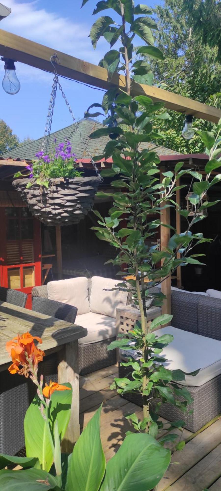 "Tempat Senang" Chalet On The Beautiful Veluwe With Airco Sauna Bbq Jacuzzi Beamer And Dog Putten Eksteriør billede
